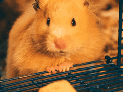 싸가지와 고집_에필로그