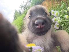 [난내] 1/11 기억이 사라진 순간에도 영원히 남을 무언가