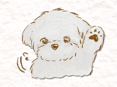 하얀라쿤로우 보송보송 말티즈 스티커2