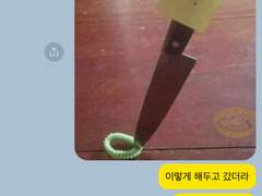 문호스트레이독스 카톡 카피페 드림 10