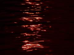 화마가 사랑을 표현하는 법