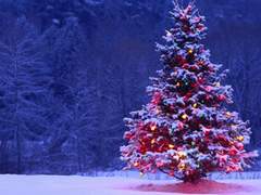 그렇게 라자로는 말구유의 꿈을 꾸었다