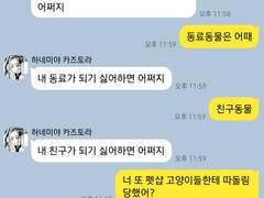 도리벤 드림 카피페 16