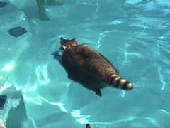 [대만준호] 여름 빛, 잠