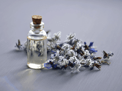 단화커 그 자식 프로필