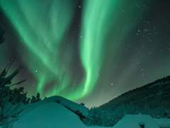 *:..｡oƒ *:..｡oƒ * 차가운 겨울의 벽난로 같은 사람, 에버렛 릴리 *:..｡oƒ *:..｡oƒ