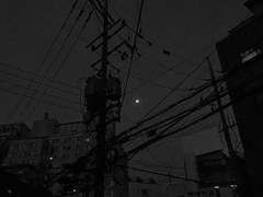 나는 너로인해 존재하는 거야.