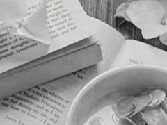 소중한 오소리 친구, 필리안에게.