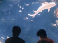 네가 영중아 미안해 했잖아?