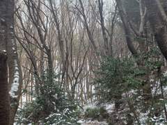 추억하기 어려울 오늘의 관하여