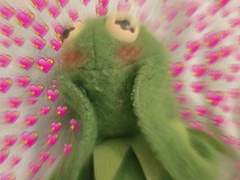 2024 플랜을 알립니다🤍🖤