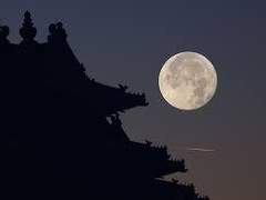 [잭][힐링] 모두와 함께, 달빛 속에서