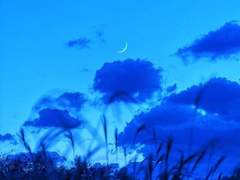 그것은 매우 놀라운.