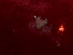 발더게 - 악성향을 해보고 싶은 이유 (12)