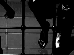 호, 혹시 인간이십니까?