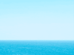 썰 [산조로ts] 환생했더니 마리모가 여자?!