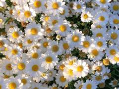 [옞놔] 나의 아기 신수님