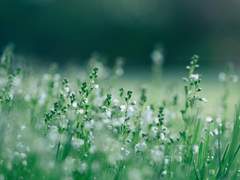 [Arin] 솜인형 옷장 링크