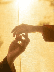 꽃이 피고 지듯이