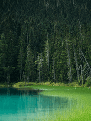 <루멘> 나의 히어로 아카데미아 / 바쿠고 / 드림