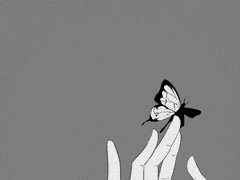 타마고 아카이 요우타