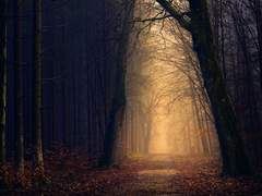 야기하소서 여신이여, 진노를, 그 분노를, 갈 곳 잃은 원망을