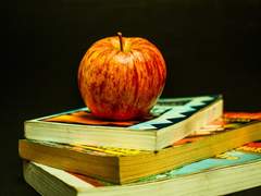 낙원의 끝은 어디에?