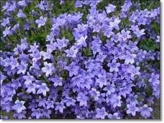 생사고락 프로필