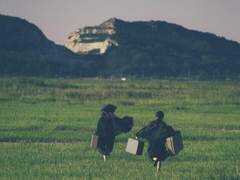 해이원 아가씨 AU