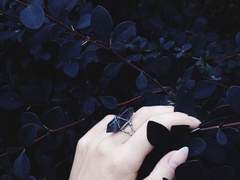 [ 카이라 P. 벨리움 / 슬리데린 / HB / XX ]