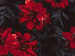 정신이상자들 (2)