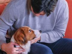 (쉬어가며..)세계의 어디에 쇼헤이의 강아지가 있을까? "여권도 있는 멍멍이"