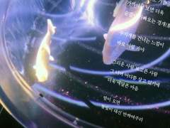 아직도 지구가 망하지 않았다니