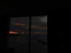 사람을 향해 총을 쏜 경찰