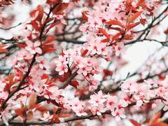 To. 애화고교 학생들한테