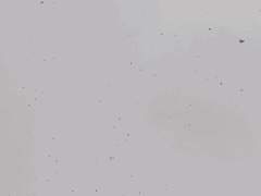 가까워지듯 멀어지고, 멀어지듯 가까워지는