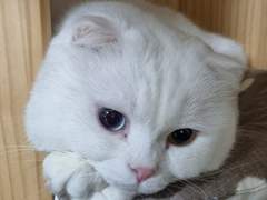 트위터에 올렸던 글 재업