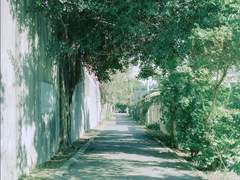 청춘 익사 사건