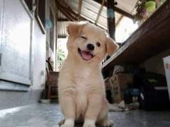 우당탕탕 수인과 동거일기_1