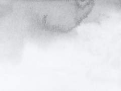 나와 나의 부주의