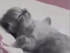 빙의시켰으면 최애를 보여줘야지+