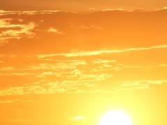 누군가의 연주가 되어