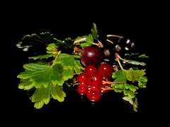 암흑 속에서 번뜩이는 그것은