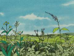 펜타르 라그나르 I XY I 3학년 B반 아테나반 I 펜리르 준수인