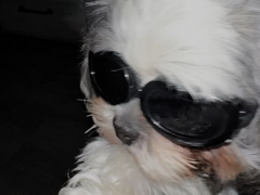 홈마? 가보자는 거야