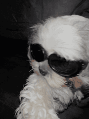 홈마? 가보자는 거야