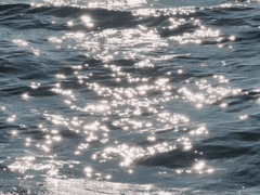 [배경화면] 바라던 바다(2장)