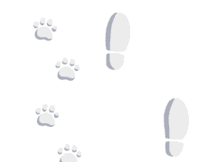 눈 발자국 브러쉬