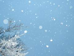 [우성명헌] 이해와 파괴 01