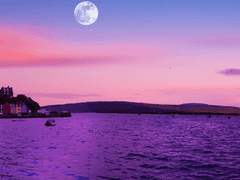 2. 웹툰 - 어떤 순서로 그려?